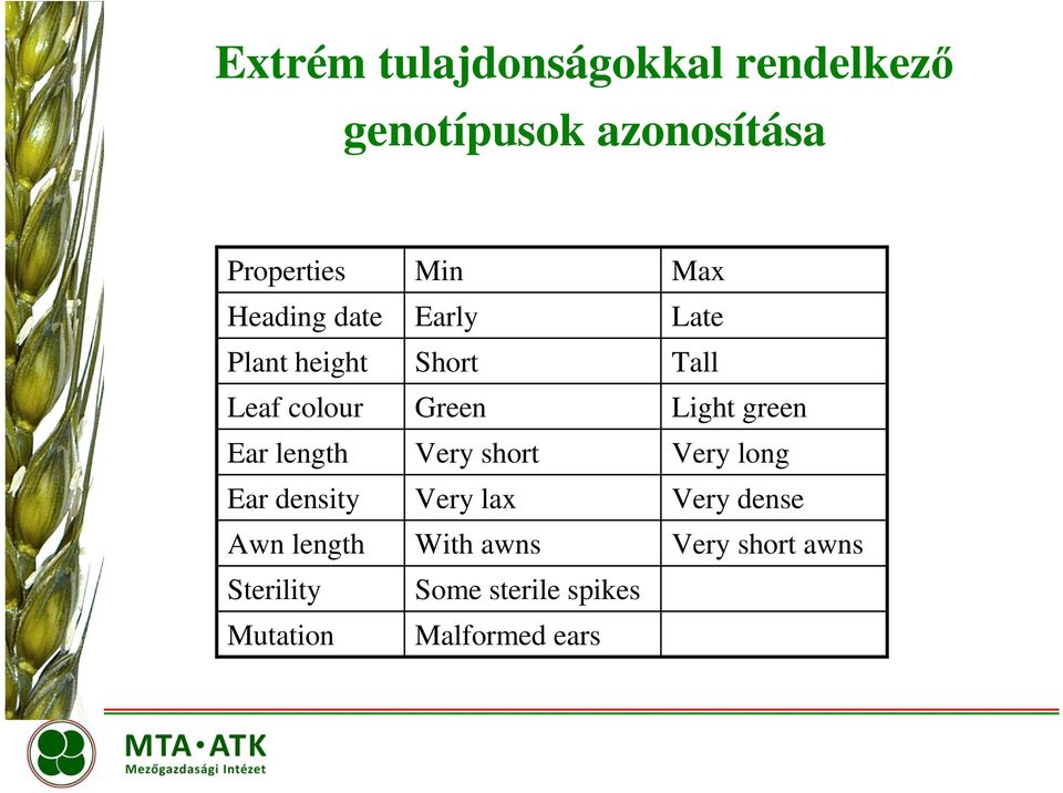 Mutation Min Early Short Green Very short Very lax With awns Some sterile