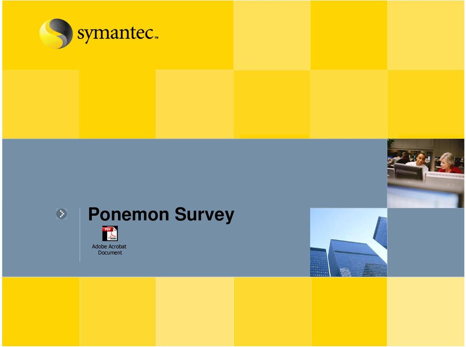 Survey Adobe