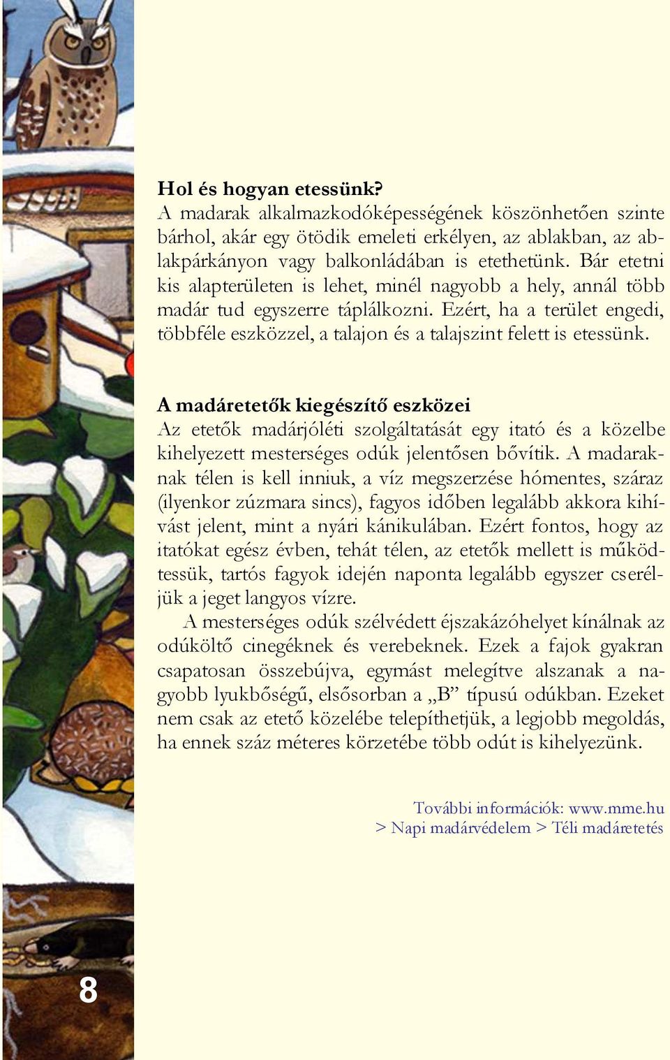 A madáretetők kiegészítő eszközei Az etetők madárjóléti szolgáltatását egy itató és a közelbe kihelyezett mesterséges odúk jelentősen bővítik.