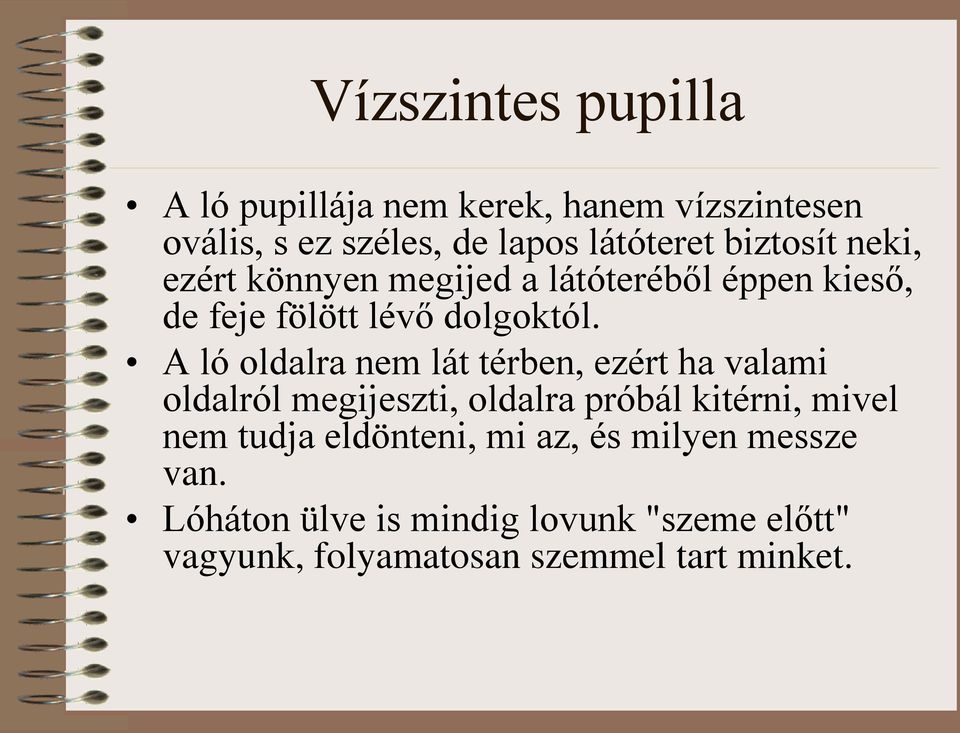 A ló oldalra nem lát térben, ezért ha valami oldalról megijeszti, oldalra próbál kitérni, mivel nem tudja