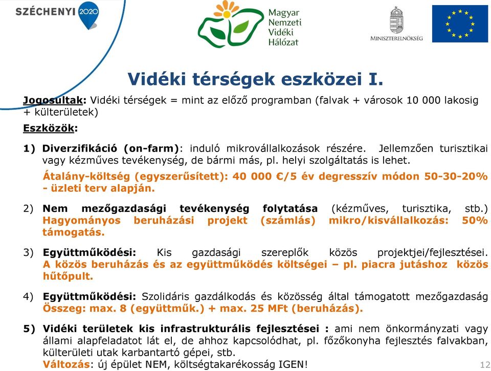 Jellemzően turisztikai vagy kézműves tevékenység, de bármi más, pl. helyi szolgáltatás is lehet. Átalány-költség (egyszerűsített): 40 000 /5 év degresszív módon 50-30-20% - üzleti terv alapján.