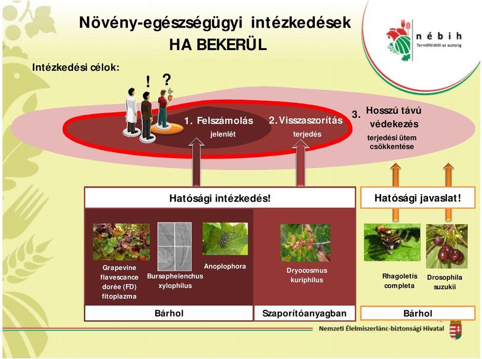 Hosszú távú védekezés terjedési ütem csökkentése Hatósági intézkedés! Hatósági javaslat!