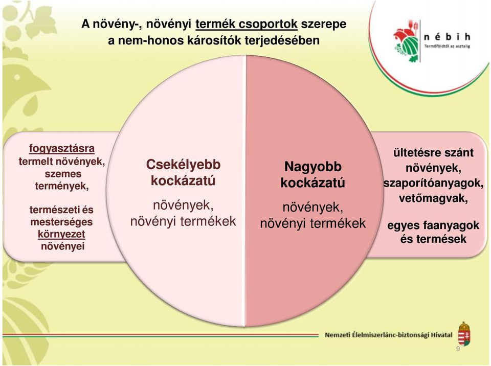 növényei Csekélyebb kockázatú növények, növényi termékek Nagyobb kockázatú növények,