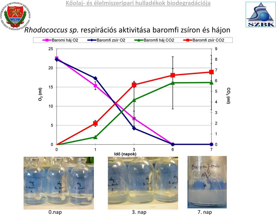 respirációs aktivitása baromfi zsíron és hájon Baromi háj O2 Baromfi