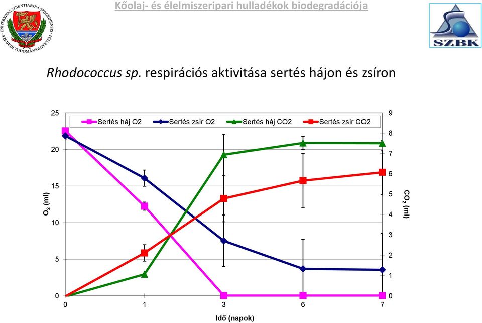 respirációs aktivitása sertés hájon és zsíron 25 20 Sertés háj