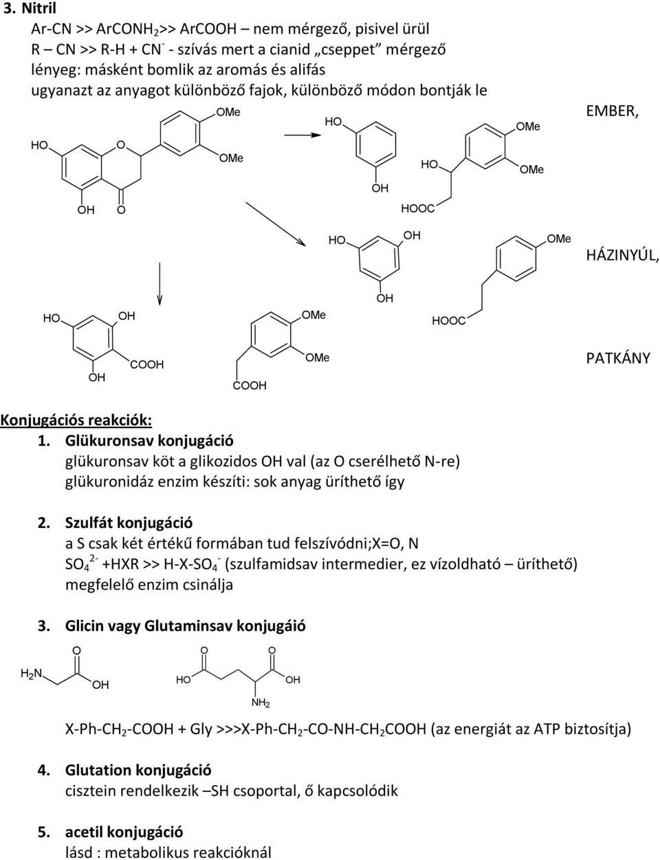 Glükuronsav konjugáció glükuronsav köt a glikozidos val (az cserélhető -re) glükuronidáz enzim készíti: sok anyag üríthető így 2.