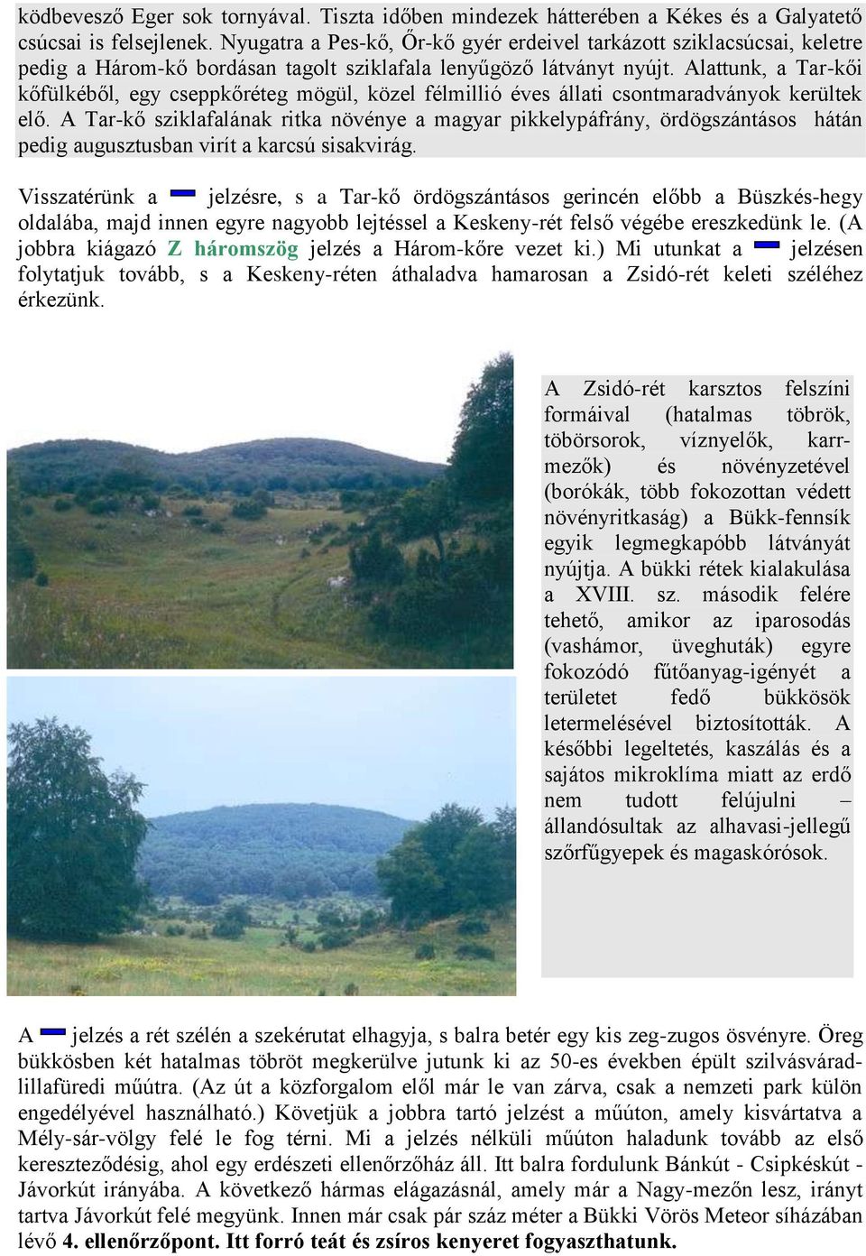 Alattunk, a Tar-kői kőfülkéből, egy cseppkőréteg mögül, közel félmillió éves állati csontmaradványok kerültek elő.