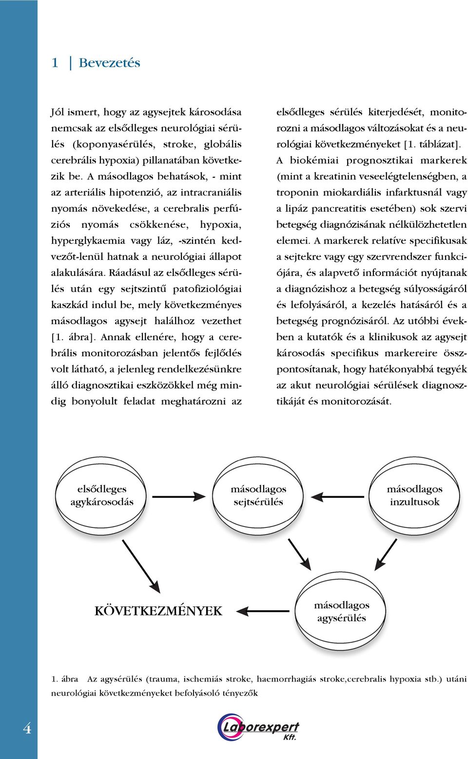 hatnak a neurológiai állapot alakulására. Ráadásul az elsôdleges sérülés után egy sejtszintû patofiziológiai kaszkád indul be, mely következményes másodlagos agysejt halálhoz vezethet [1. ábra].