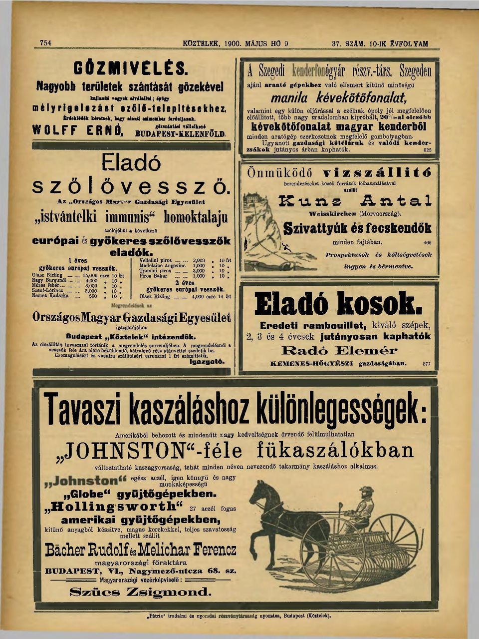 n I r r r B U <í glzszántási vállalkwi WULrr Lifniij büdapest-kelenfőld, Eladó szőlővessző.