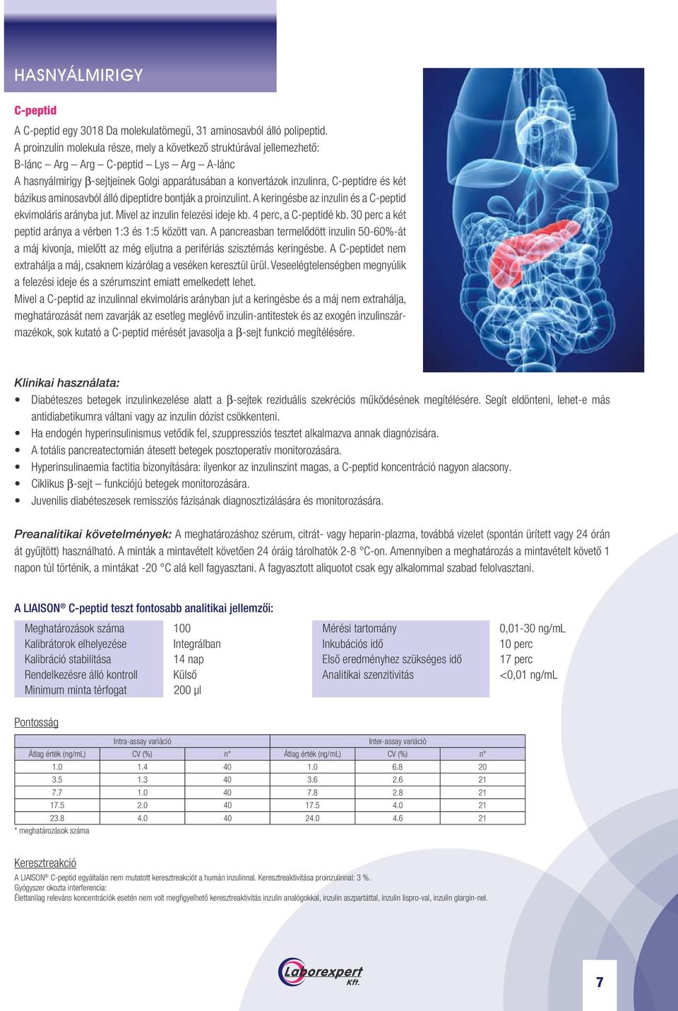 két bázikus aminosavból álló dipeptidre bontják a proinzulint. A keringésbe az inzulin és a C-peptid ekvimoláris arányba jut. Mivel az inzulin felezési ideje kb. 4 perc, a C-peptidé kb.