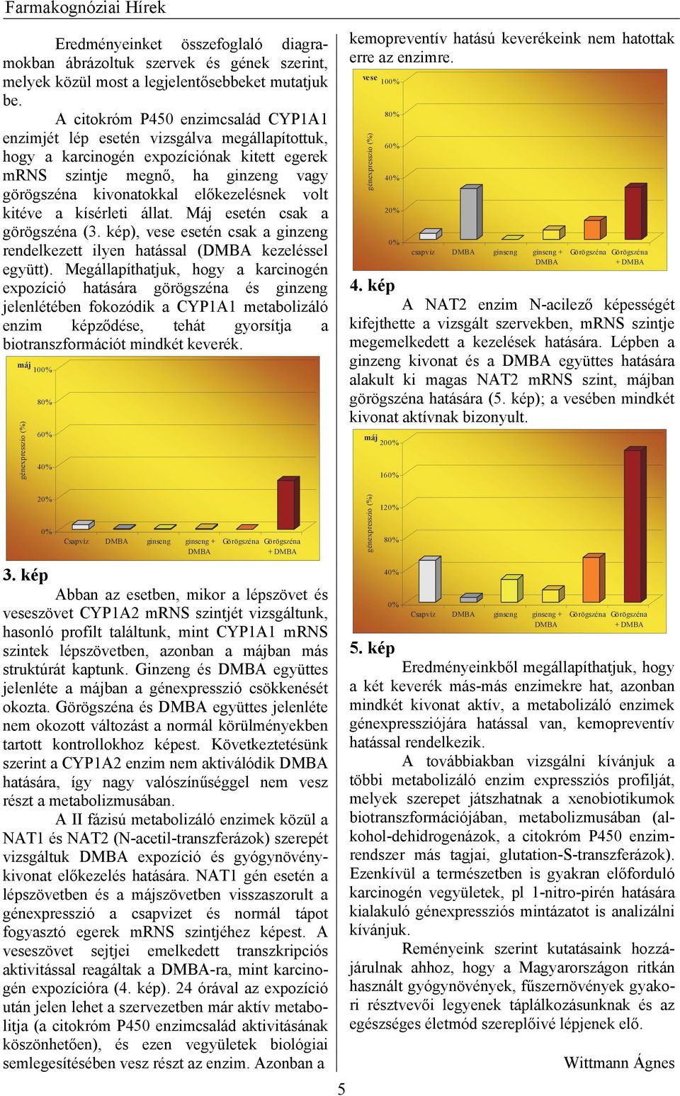 előkezelésnek volt kitéve a kísérleti állat. Máj esetén csak a görögszéna (3. kép), vese esetén csak a ginzeng rendelkezett ilyen hatással (DMBA kezeléssel együtt).