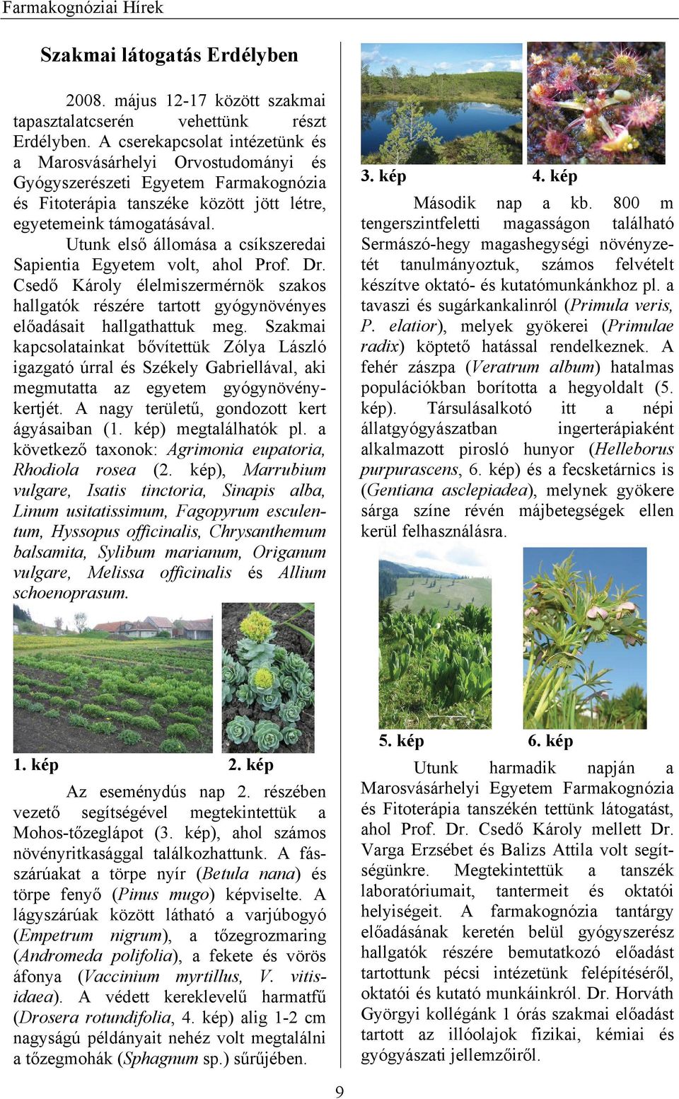 Utunk első állomása a csíkszeredai Sapientia Egyetem volt, ahol Prof. Dr. Csedő Károly élelmiszermérnök szakos hallgatók részére tartott gyógynövényes előadásait hallgathattuk meg.