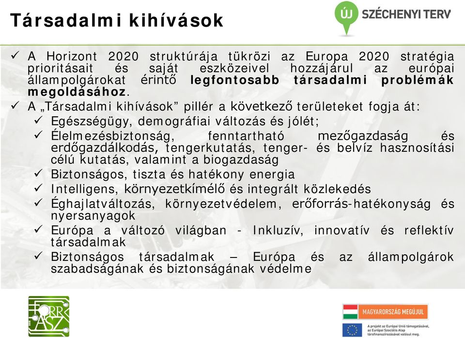 A Társadalmi kihívások pillér a következő területeket fogja át: Egészségügy, demográfiai változás és jólét; Élelmezésbiztonság, fenntartható mezőgazdaság és erdőgazdálkodás, tengerkutatás, tenger-