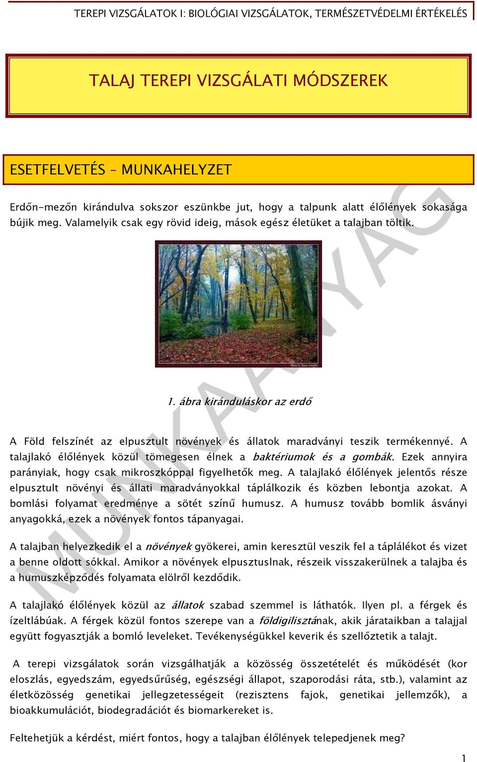 A talajlakó élőlények közül tömegesen élnek a baktériumok és a gombák. Ezek annyira parányiak, hogy csak mikroszkóppal figyelhetők meg.