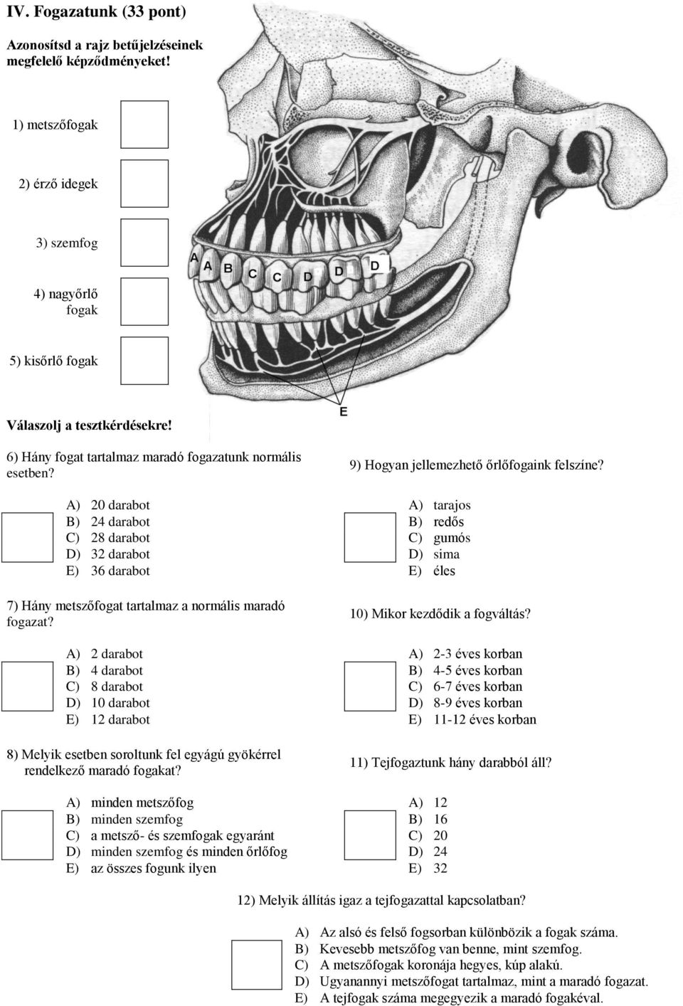 A) 20 darabot A) tarajos B) 24 darabot B) redős C) 28 darabot C) gumós D) 32 darabot D) sima E) 36 darabot E) éles 7) Hány metszőfogat tartalmaz a normális maradó fogazat?