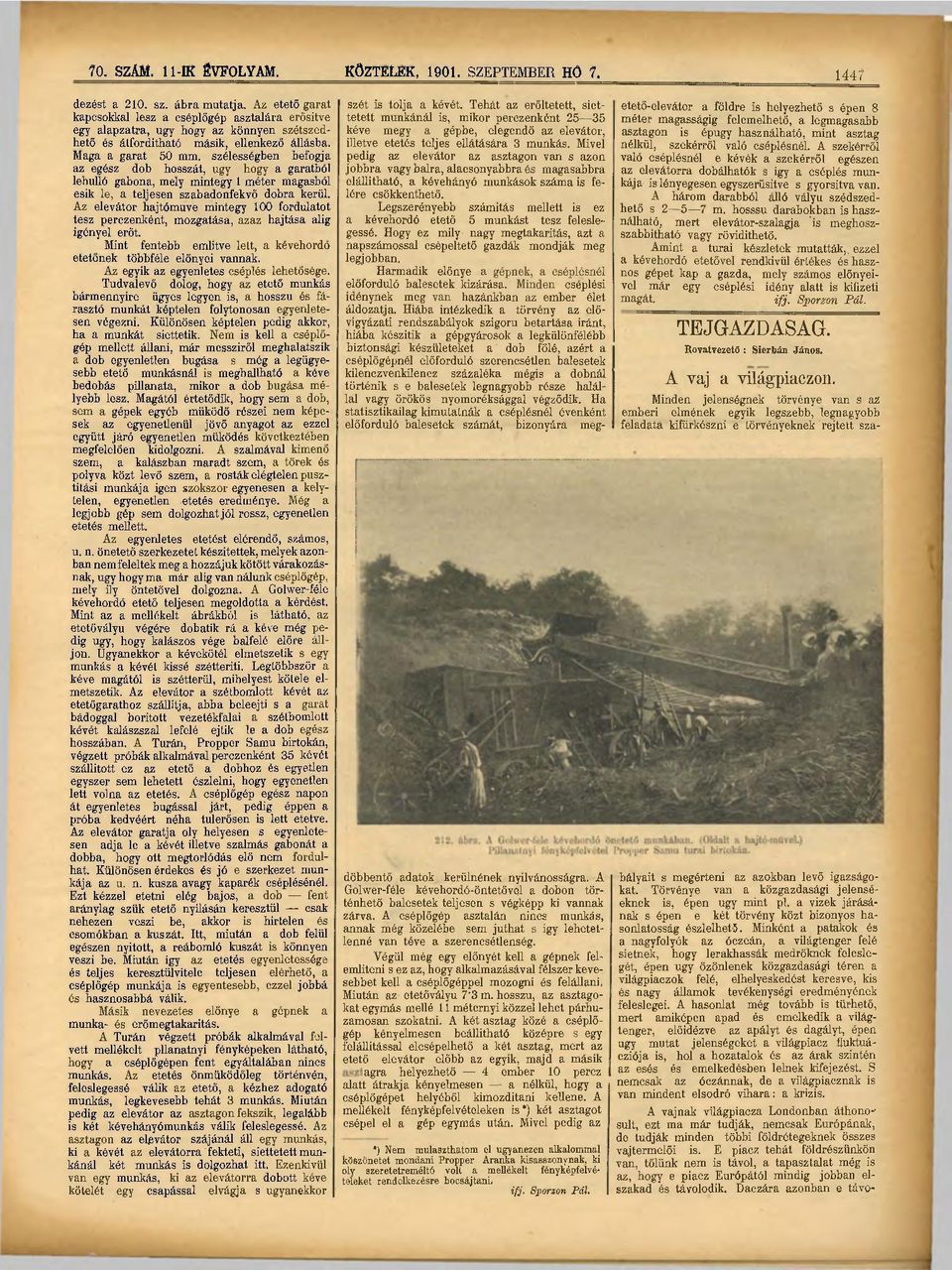 szélességben befogja az egész dob hosszát, ugy hogy a garatból lehulló gabona, mely mintegy 1 méter magasból esik le, a teljesen szabadonfekvő dobra kerül.