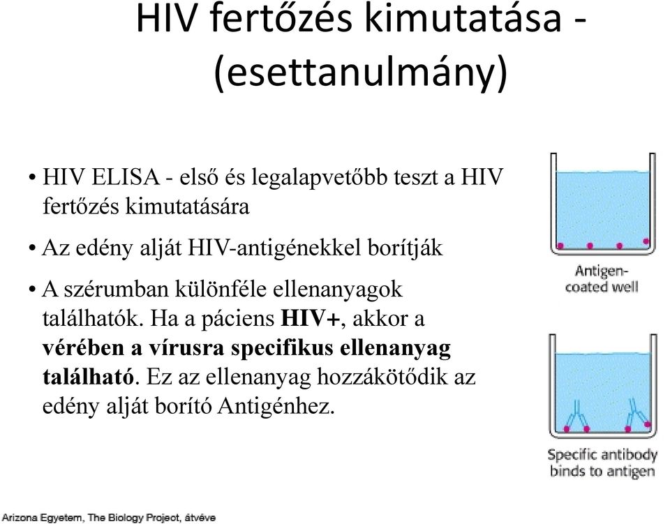 különféle ellenanyagok találhatók.