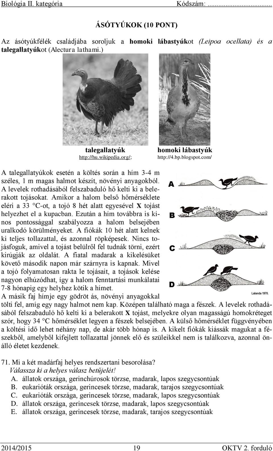 A levelek rothadásából felszabaduló hő kelti ki a belerakott tojásokat. Amikor a halom belső hőmérséklete eléri a 33 C-ot, a tojó 8 hét alatt egyesével X tojást helyezhet el a kupacban.