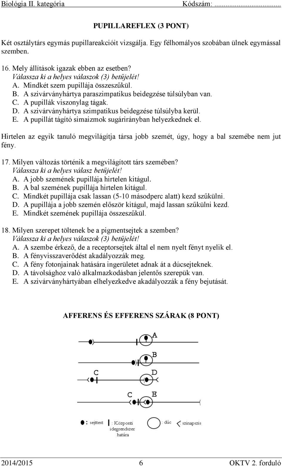 A szivárványhártya szimpatikus beidegzése túlsúlyba kerül. E. A pupillát tágító simaizmok sugárirányban helyezkednek el.