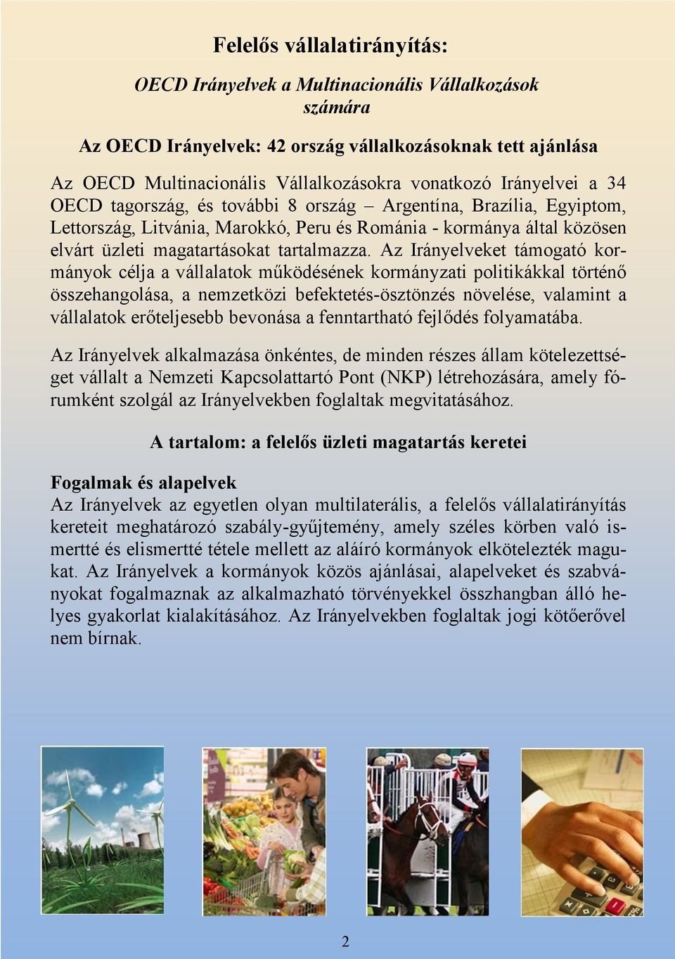 Az Irányelveket támogató kormányok célja a vállalatok működésének kormányzati politikákkal történő összehangolása, a nemzetközi befektetés-ösztönzés növelése, valamint a vállalatok erőteljesebb