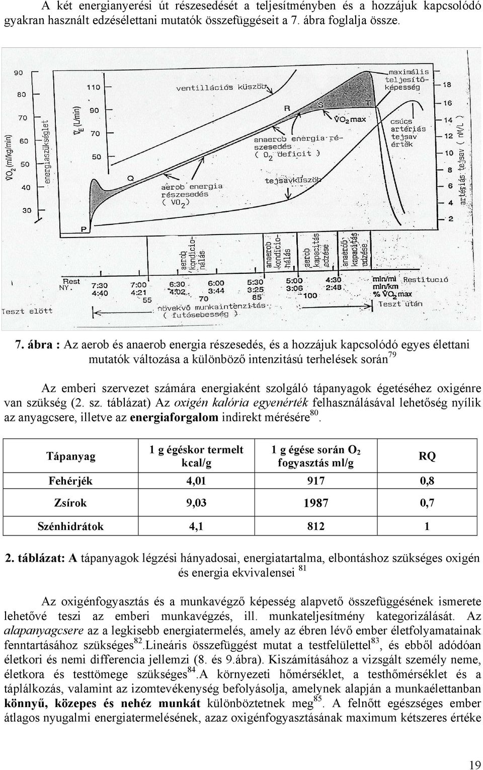 ábra : Az aerob és anaerob energia részesedés, és a hozzájuk kapcsolódó egyes élettani mutatók változása a különböző intenzitású terhelések során 79 Az emberi szervezet számára energiaként szolgáló