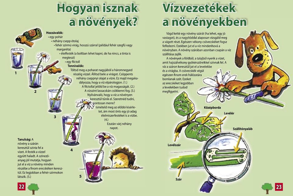 tinta is megteszi) egy filctoll Tennivalók: Töltsd meg a poharat nagyjából a háromnegyed részéig vízzel. Állítsd bele a virágot. Csöppents néhány cseppnyi olajat a vízre.