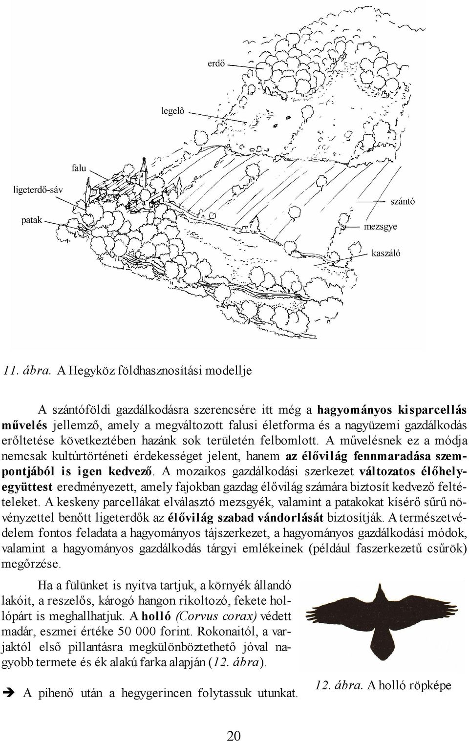 erőltetése következtében hazánk sok területén felbomlott. A művelésnek ez a módja nemcsak kultúrtörténeti érdekességet jelent, hanem az élővilág fennmaradása szempontjából is igen kedvező.