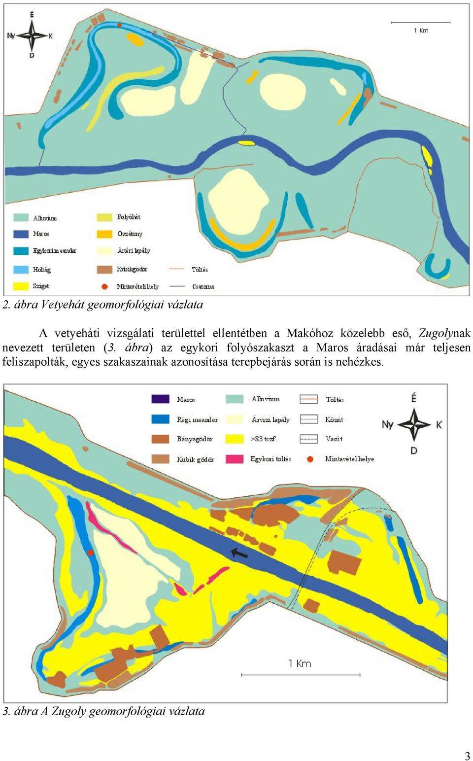 ábra) az egykori folyószakaszt a Maros áradásai már teljesen feliszapolták,