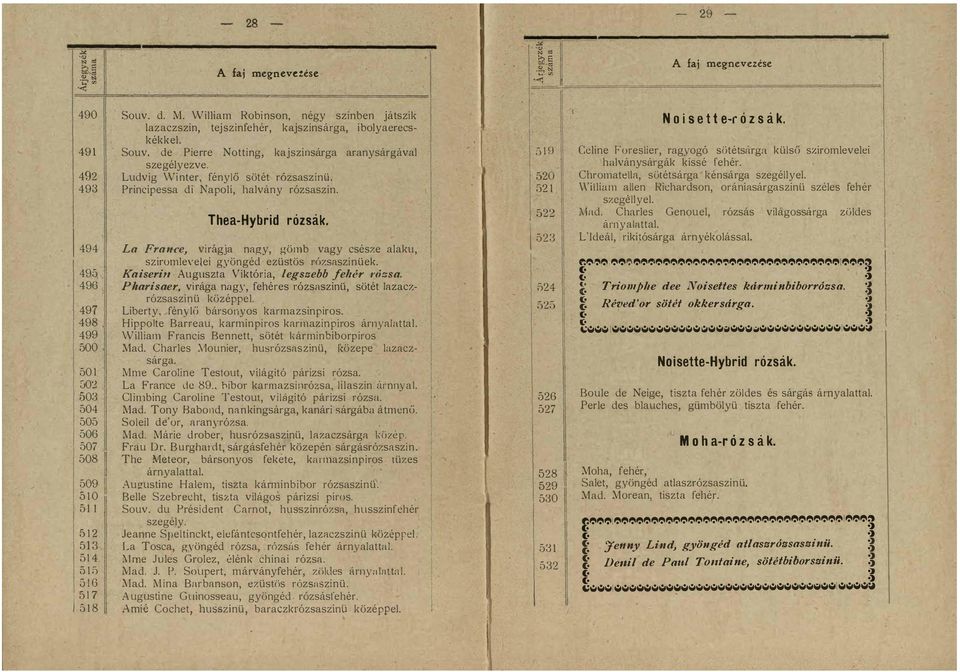 TheaHybrid rózsák La Fra ee vlragja nagy gömb vagy csésze alaku sziromlevelei gyöngéd ezüstös rózsaszinüek Ka iserit Auguszta Viktória legszebb feltér '(;zsa PJlarisaer virága nagy fehéres rózsaszinü