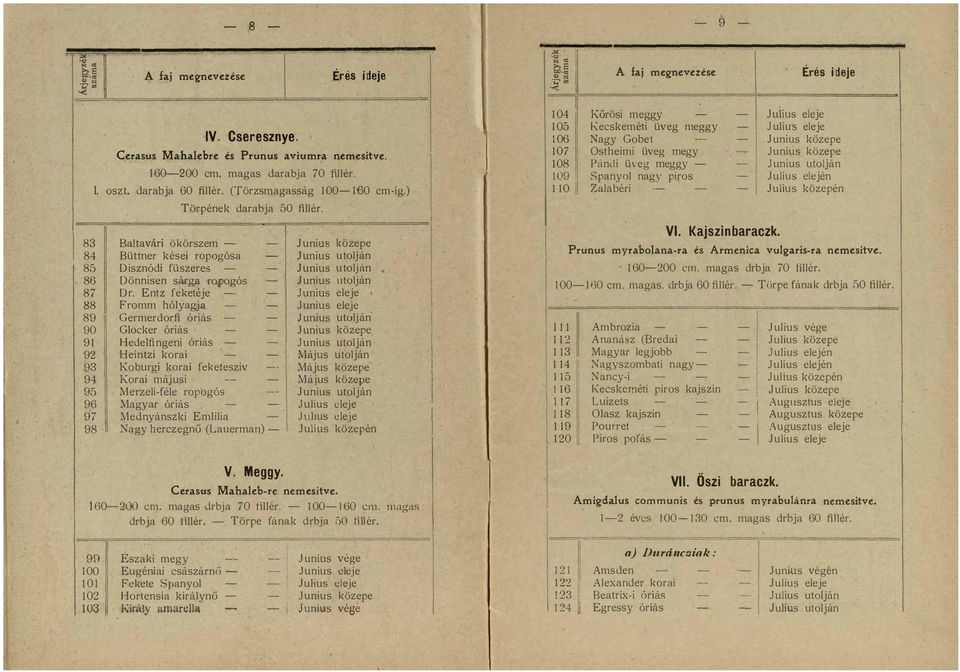 eleje J 88 Fromm hólyagja Junius eleje 89 Germerdorfi óriás Junius utolján 90 Glocker óriás Junius közepe 9 Hedelfingeni óriás Junius utolján 92 Heintzi korai Május utolján 93 Koburgi korai