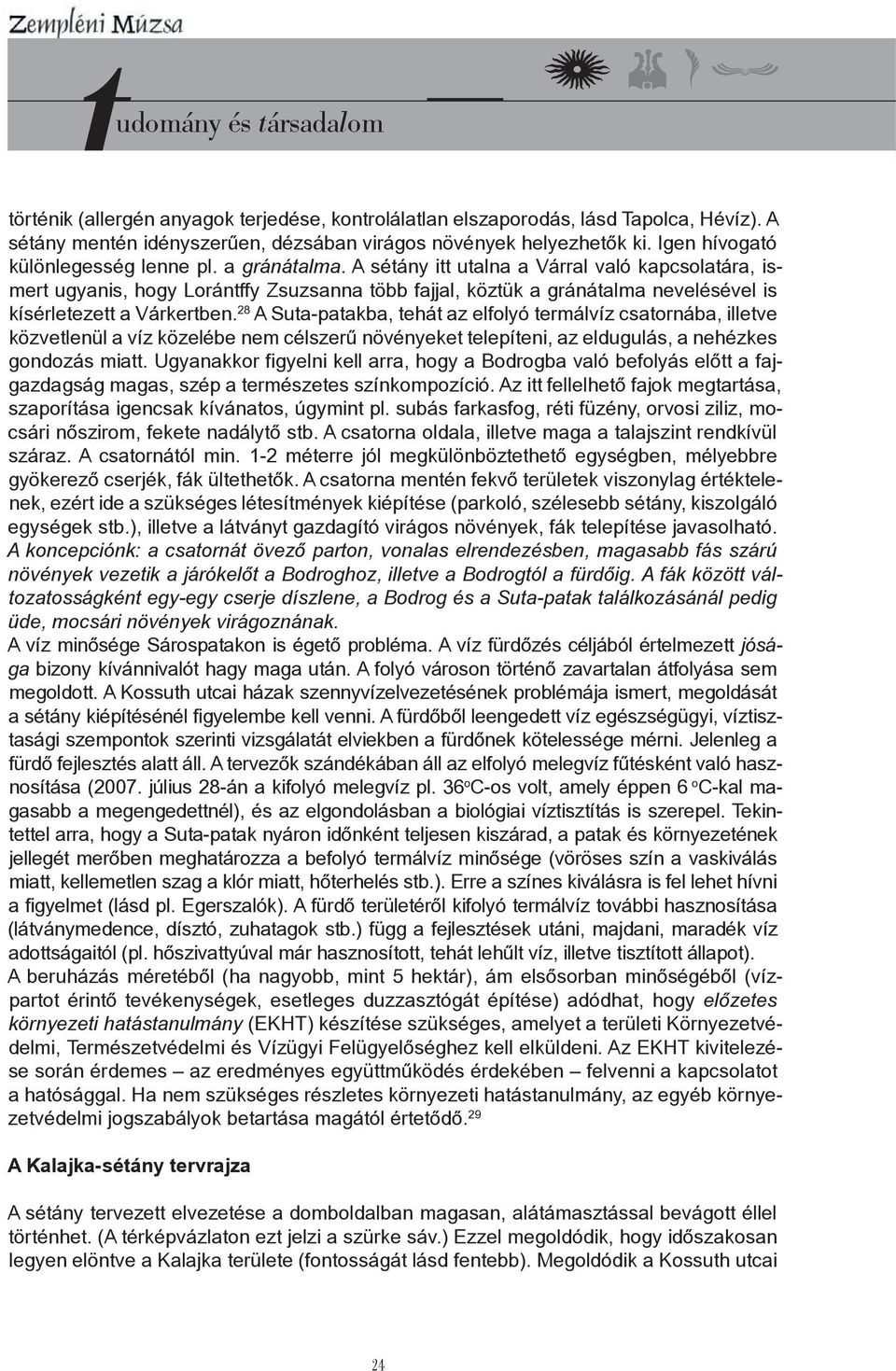 28 A Suta-patakba, tehát az elfolyó termálvíz csatornába, illetve közvetlenül a víz közelébe nem célszerű növényeket telepíteni, az eldugulás, a nehézkes gondozás miatt.