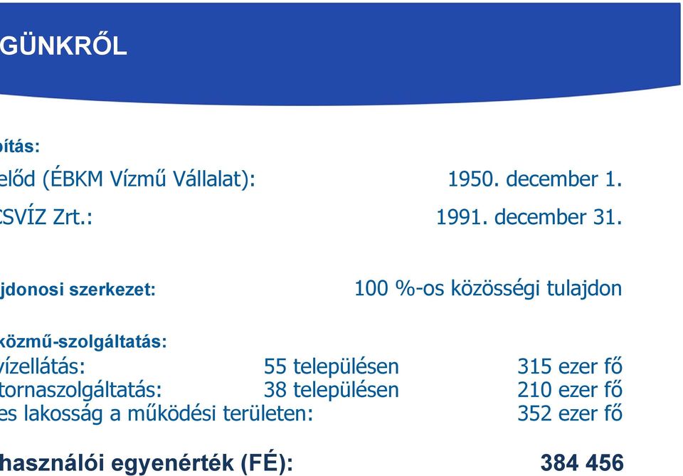 jdonosi szerkezet: 100 %-os közösségi tulajdon özmű-szolgáltatás: ízellátás: