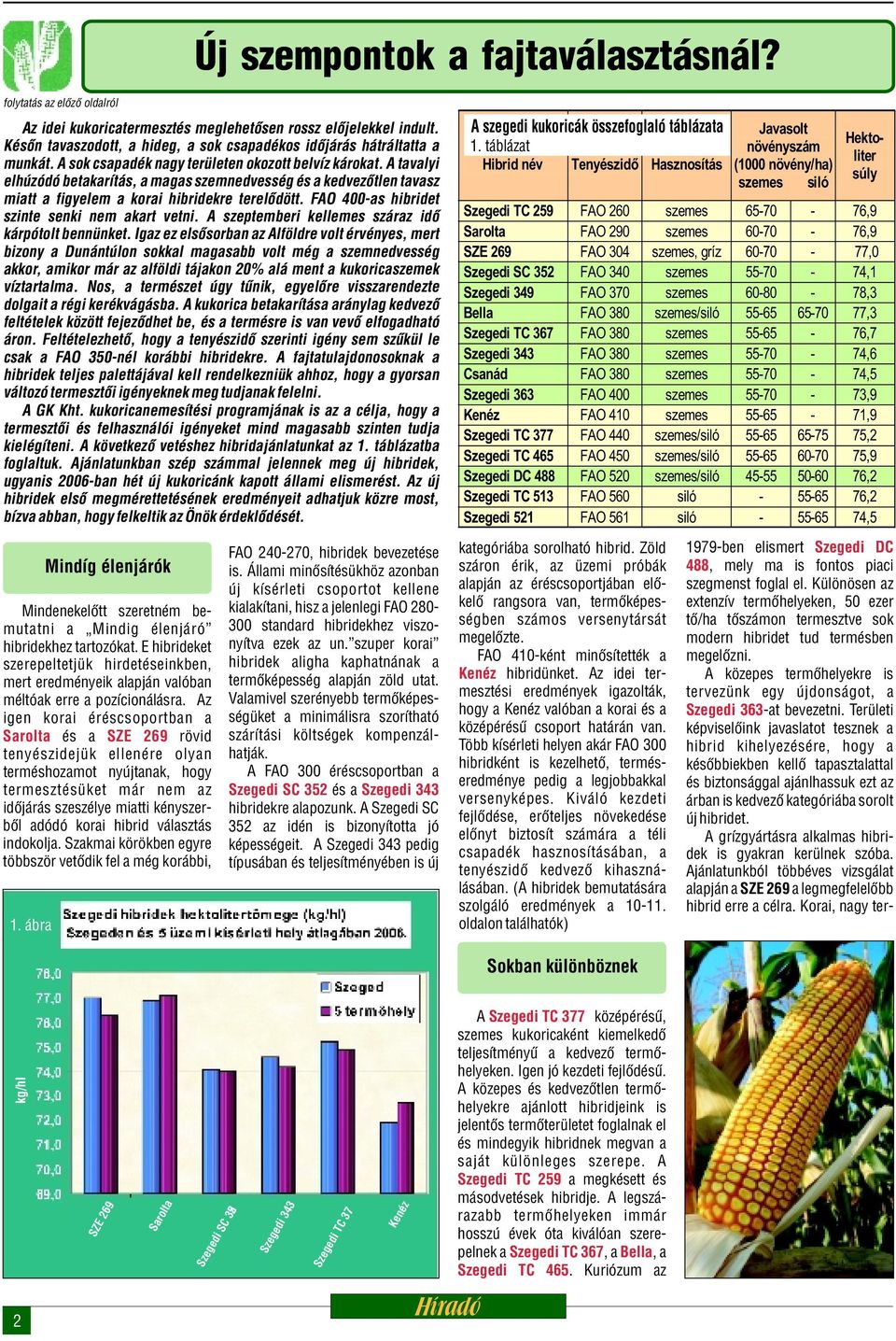 A tavalyi elhúzódó betakarítás, a magas szemnedvesség és a kedvezõtlen tavasz miatt a figyelem a korai hibridekre terelõdött. FAO 4-as hibridet szinte senki nem akart vetni.