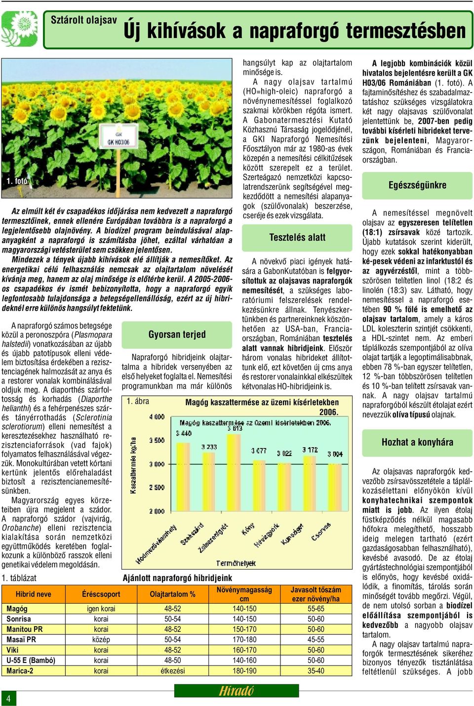 A biodízel program beindulásával alapanyagként a napraforgó is számításba jöhet, ezáltal várhatóan a magyarországi vetésterület sem csökken jelentõsen.