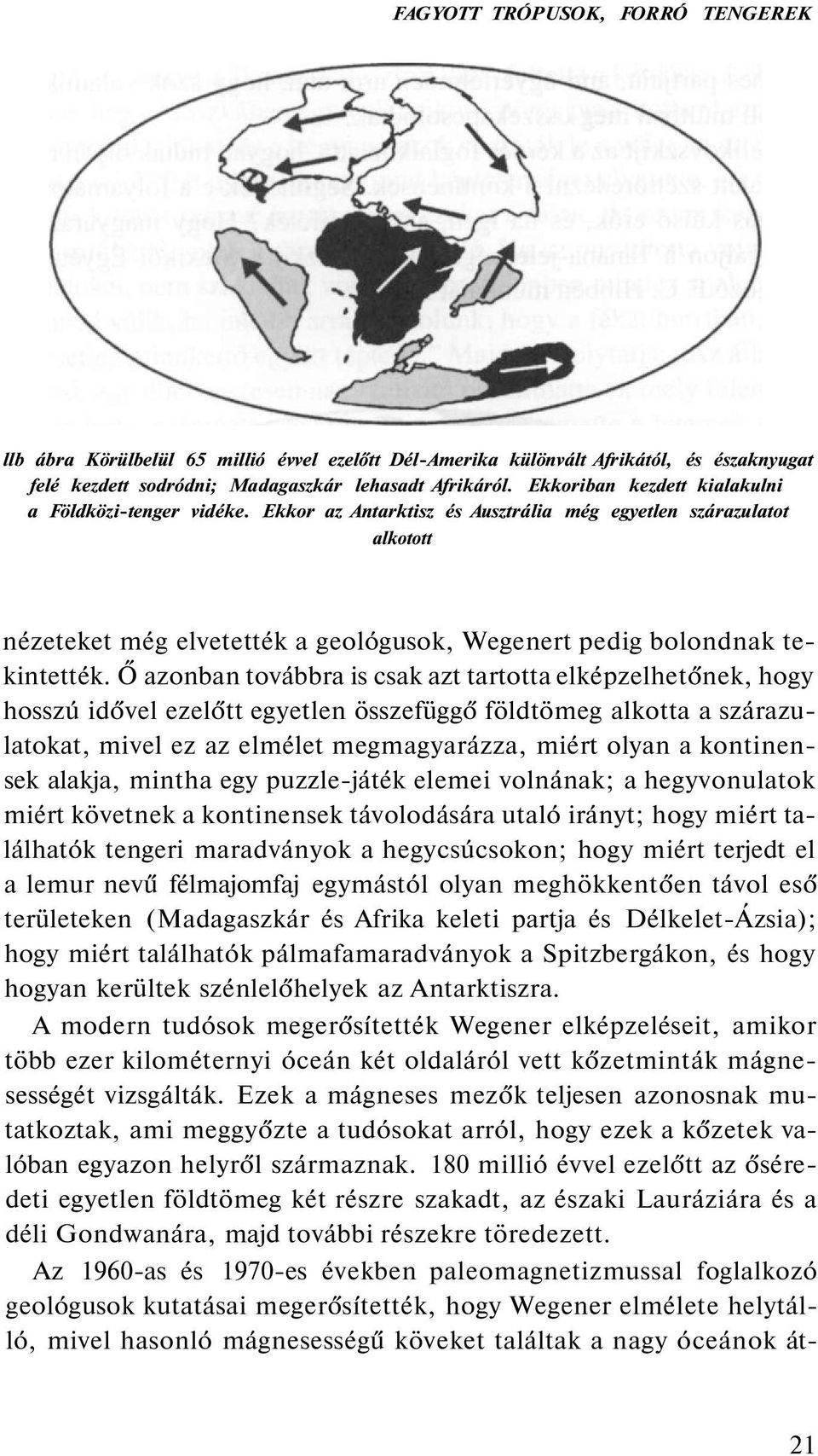 Ő azonban továbbra is csak azt tartotta elképzelhetőnek, hogy hosszú idővel ezelőtt egyetlen összefüggő földtömeg alkotta a szárazulatokat, mivel ez az elmélet megmagyarázza, miért olyan a