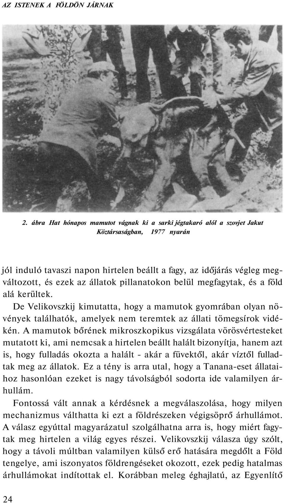 állatok pillanatokon belül megfagytak, és a föld alá kerültek. De Velikovszkij kimutatta, hogy a mamutok gyomrában olyan növények találhatók, amelyek nem teremtek az állati tömegsírok vidékén.