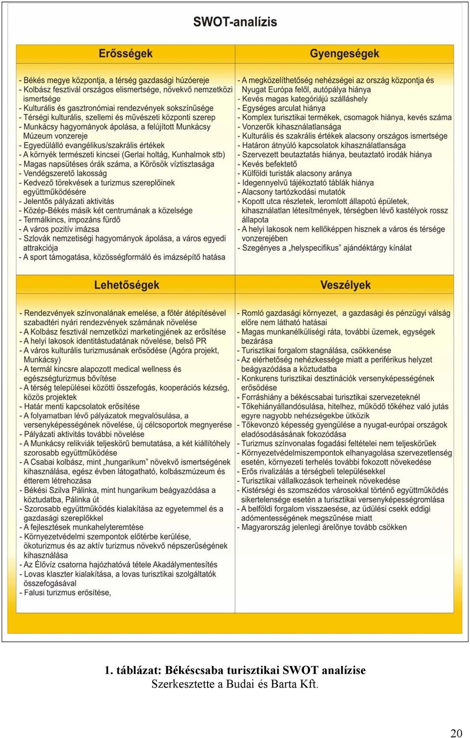 SWOT analízise