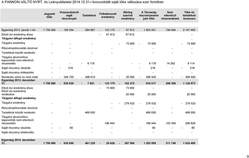 ellenőrző részesedések Tőke és tartalékok összesen Egyenleg 2013.
