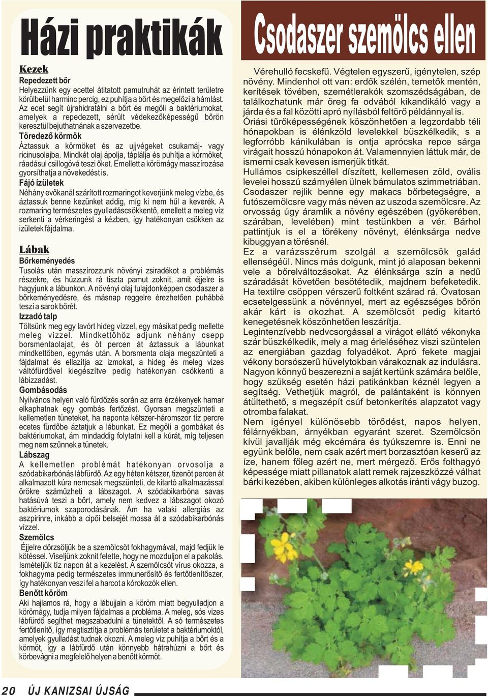 Töredező körmök Áztassuk a körmöket és az ujjvégeket csukamáj- vagy ricinusolajba. Mindkét olaj ápolja, táplálja és puhítja a körmöket, ráadásul csillogóvá teszi őket.