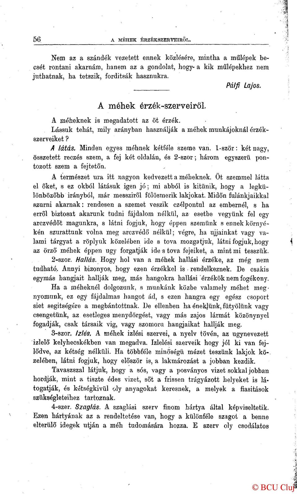 A méhek érzék-szerveiről. A méheknek is megadatott az öt érzék. Lássuk tehát, mily arányban használják a méhek munkájuknál érzékszerveiket? A látás. Minden egyes méhnek kétféle szeme van.