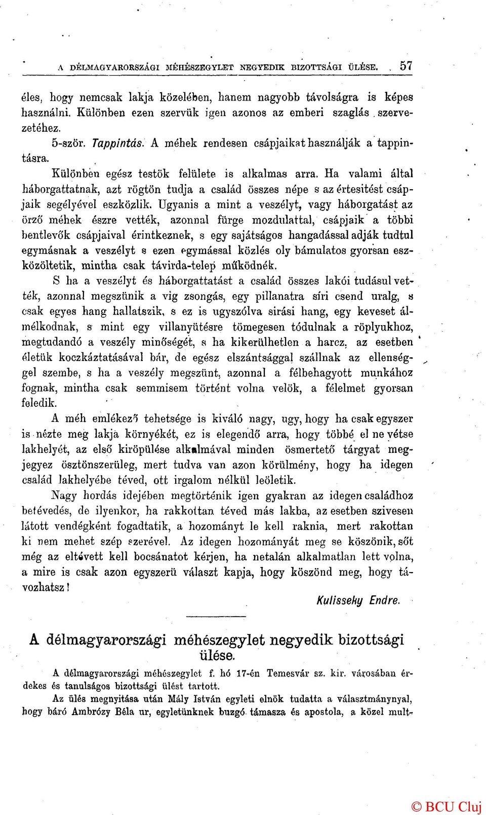 Ha valami által háborgattatnak, azt rögtön tudja a család összes népe s az értesitést csápjaik segélyével eszközlik.