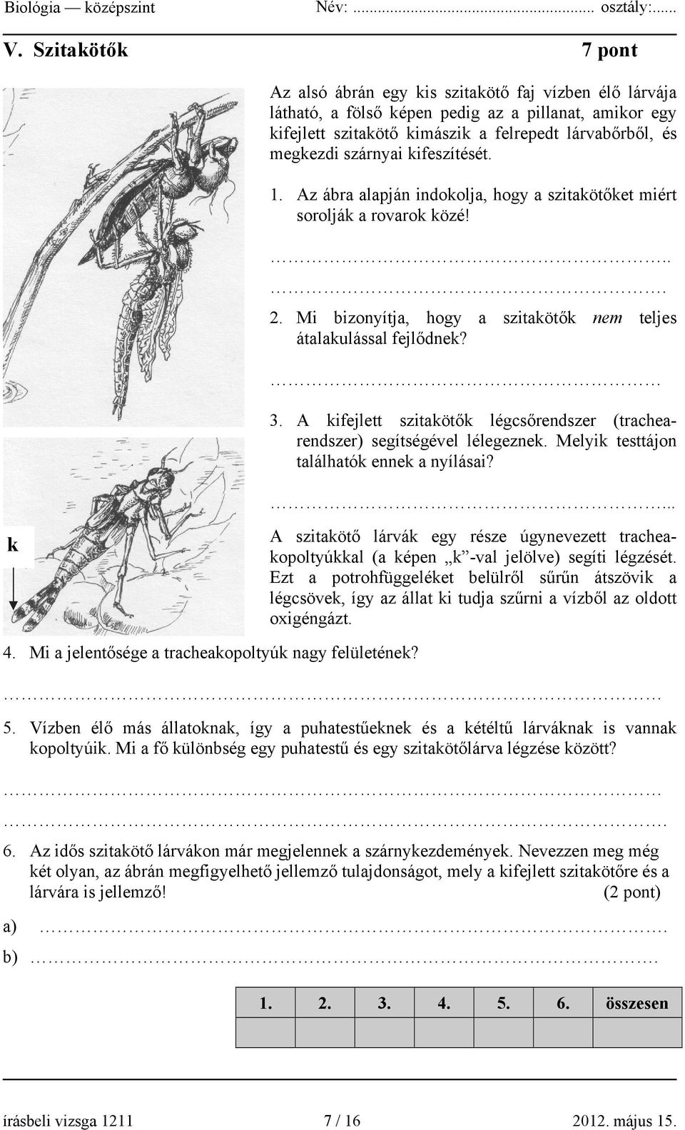 A kifejlett szitakötők légcsőrendszer (trachearendszer) segítségével lélegeznek. Melyik testtájon találhatók ennek a nyílásai?