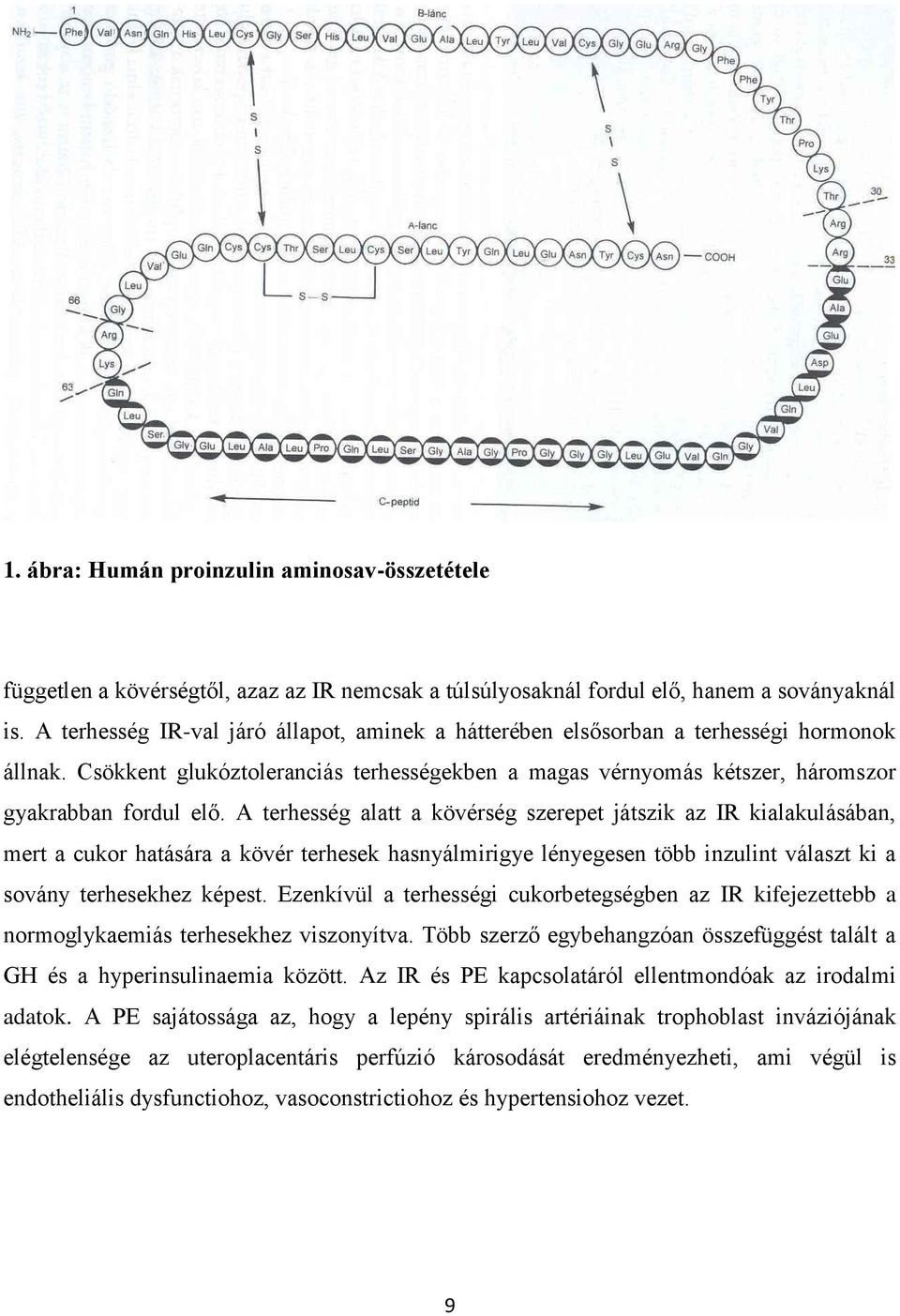 A terhesség alatt a kövérség szerepet játszik az IR kialakulásában, mert a cukor hatására a kövér terhesek hasnyálmirigye lényegesen több inzulint választ ki a sovány terhesekhez képest.