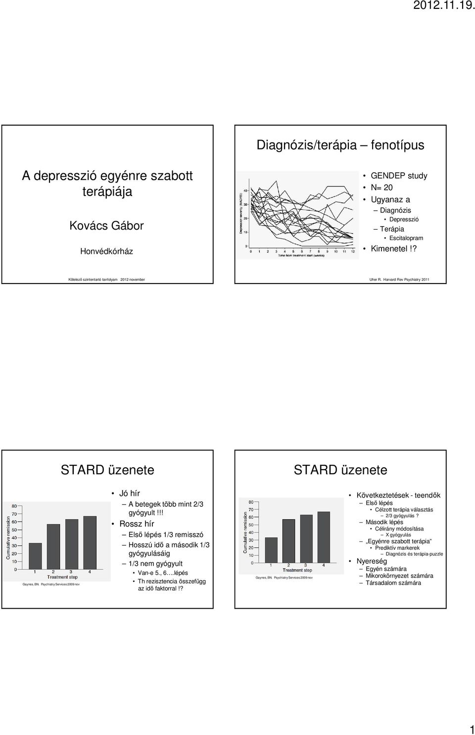 !! Rossz hír Első lépés 1/3 remisszó Hosszú idő a második 1/3 gyógyulásáig 1/3 nem gyógyult Van-e 5., 6.lépés Th rezisztencia összefügg az idő faktorral!? Gaynes, BN.