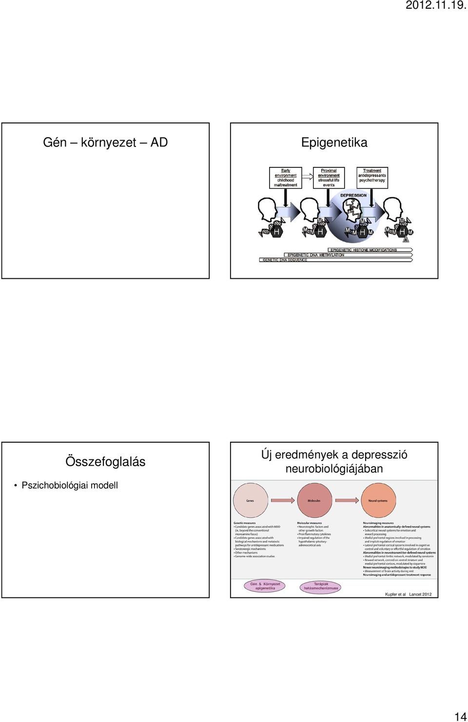 depresszió neurobiológiájában Gén & Környezet