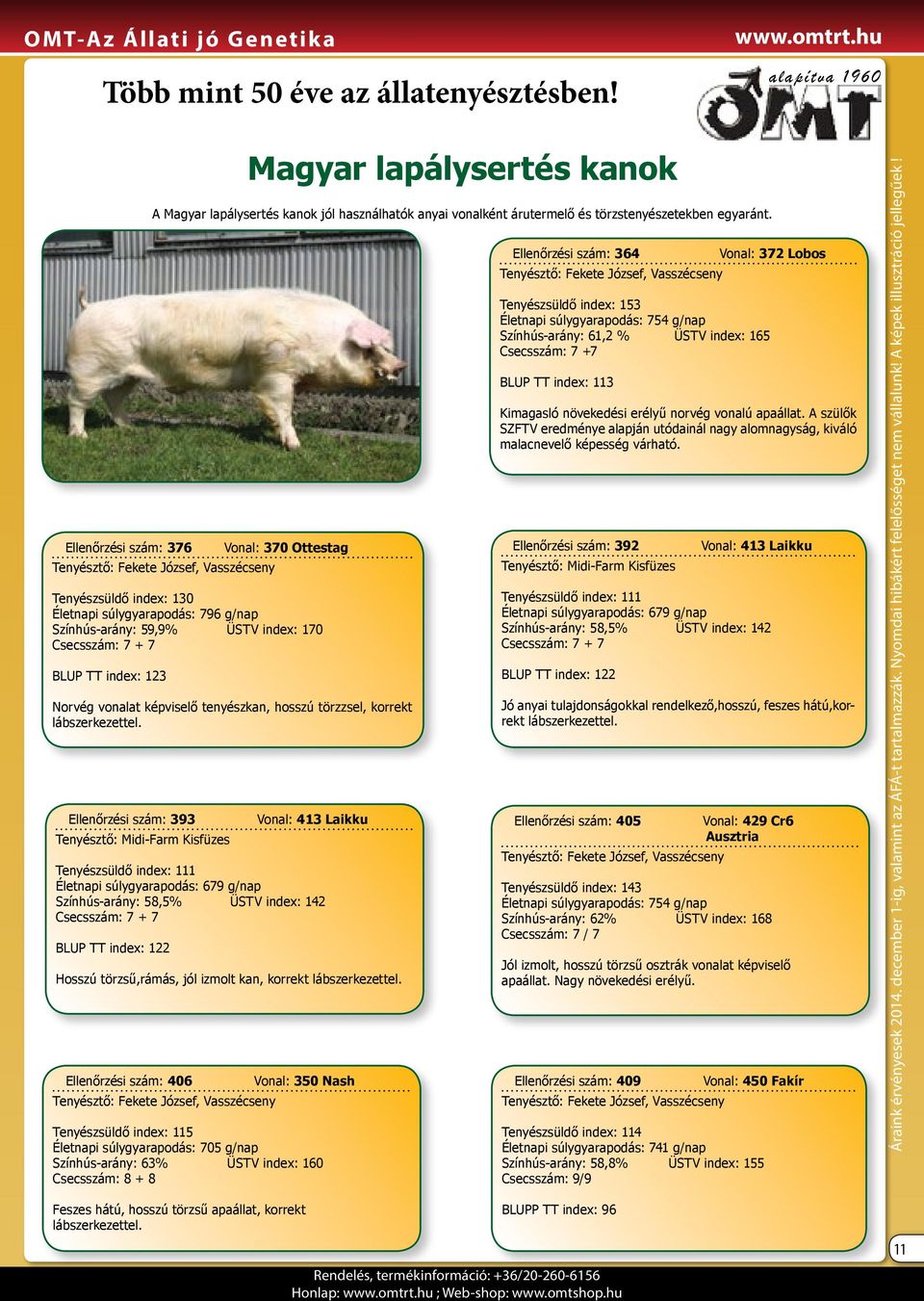 Csecsszám: 7 + 7 BLUP TT index: 123 Norvég vonalat képviselő tenyészkan, hosszú törzzsel, korrekt lábszerkezettel.