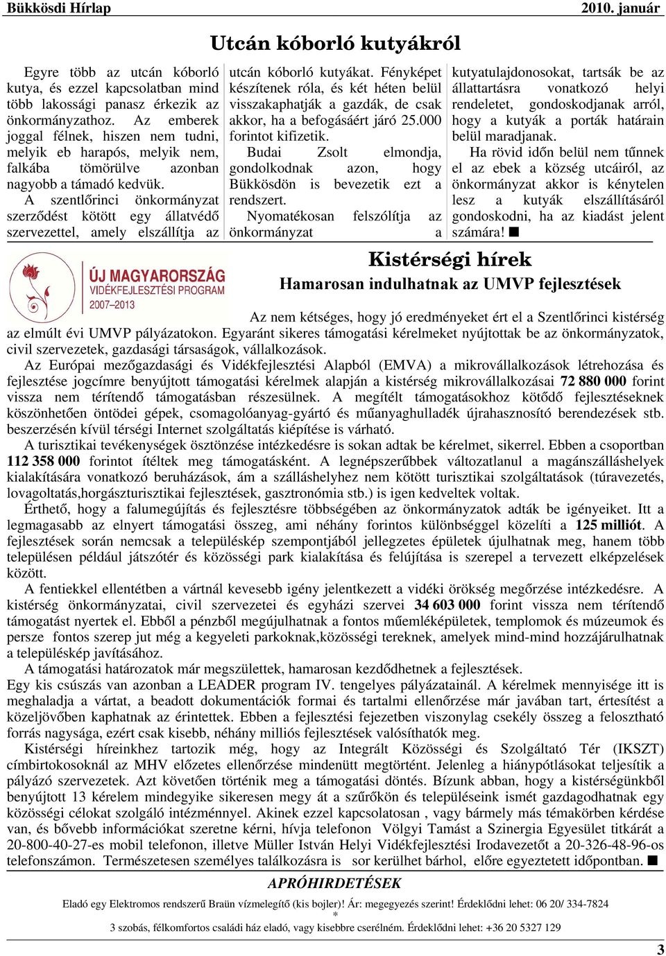 A szentlőrinci önkormányzat szerződést kötött egy állatvédő szervezettel, amely elszállítja az Utcán kóborló kutyákról utcán kóborló kutyákat.