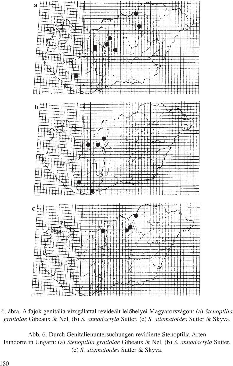 Gibeaux & Nel, (b) S. annadactyla Sutter, (c) S. stigmatoides Sutter & Skyva. Abb. 6.