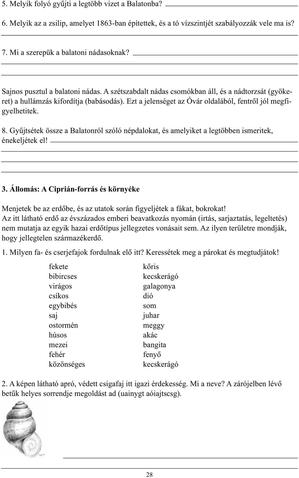 Gyûjtsétek össze a Balatonról szóló népdalokat, és amelyiket a legtöbben ismeritek, énekeljétek el! 3.