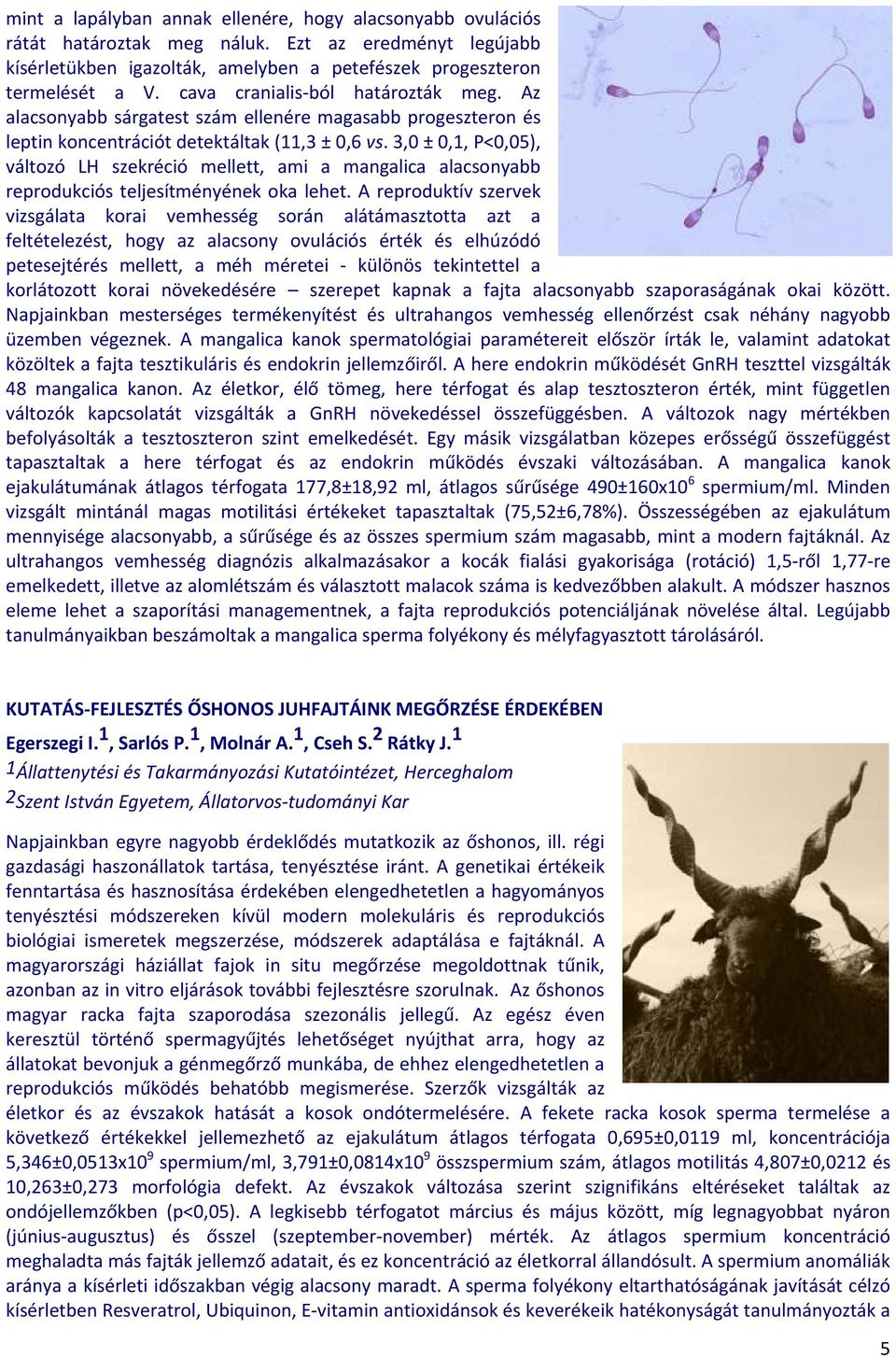 3,0 ± 0,1, P<0,05), változó LH szekréció mellett, ami a mangalica alacsonyabb reprodukciós teljesítményének oka lehet.